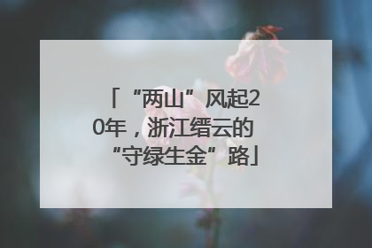 “两山”风起20年，浙江缙云的“守绿生金”路